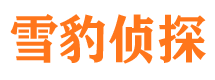 石景山市调查公司